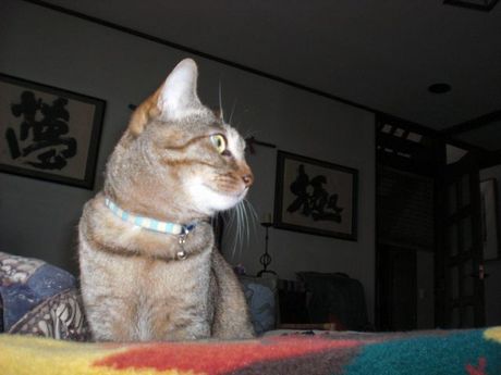 100522-3.jpg