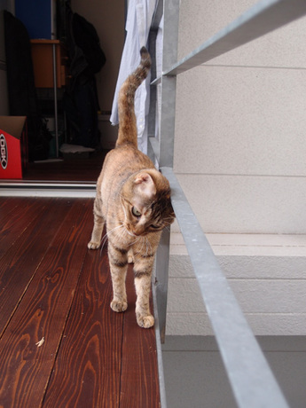 130704-1.jpg