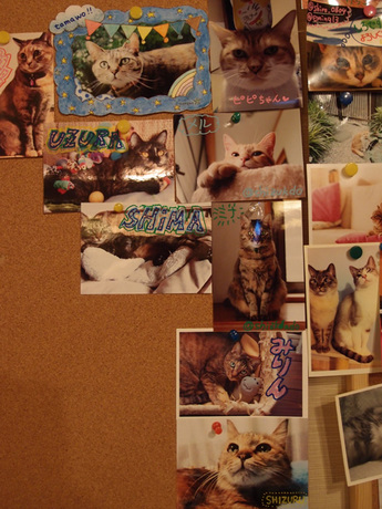 131013-10.jpg