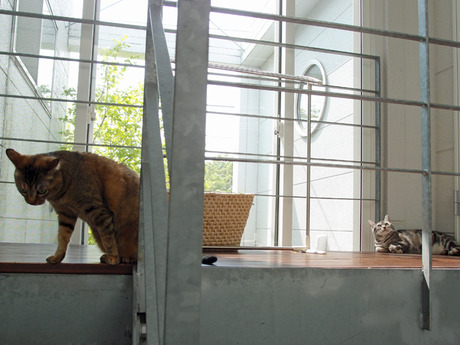 140419-13.jpg