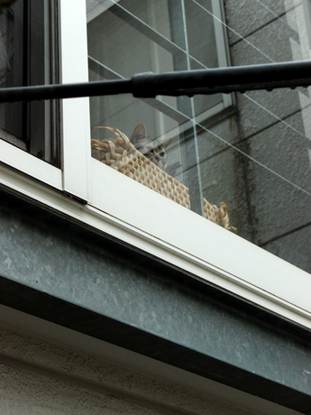 140421-6.jpg
