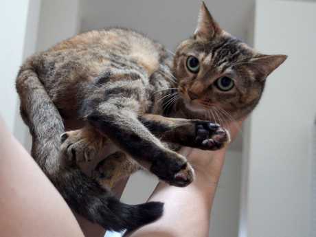 140908-2.jpg