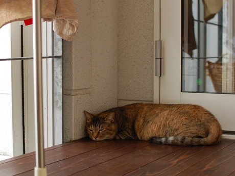 150814-4.jpg