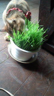 20121112101404.jpg
