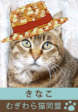 mugiwara_member_kinako.gif