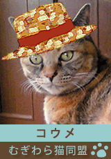 mugiwara_member_koume2.gif