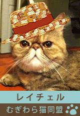 mugiwara_member_rachel.gif