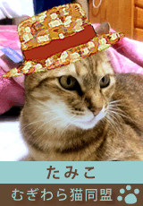 mugiwara_member_tamiko.gif